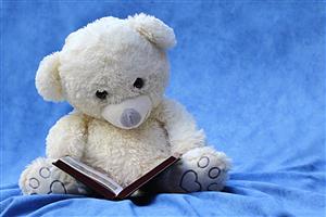 white teddy bear reading a book with a blue background 